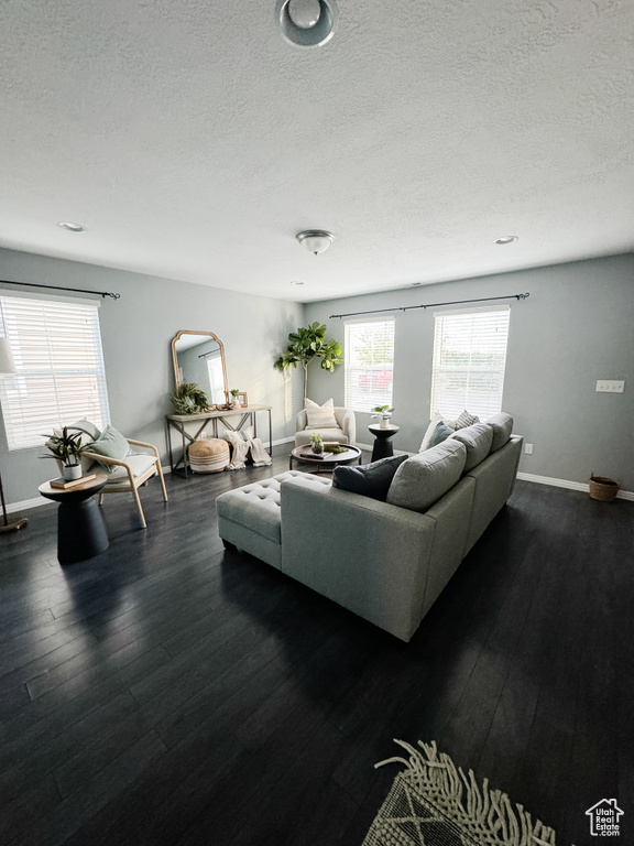 Living room with a textured ceiling and dark hardwood / wood-style floors