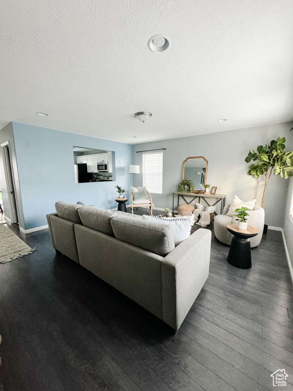 Living room with dark wood-type flooring and a textured ceiling