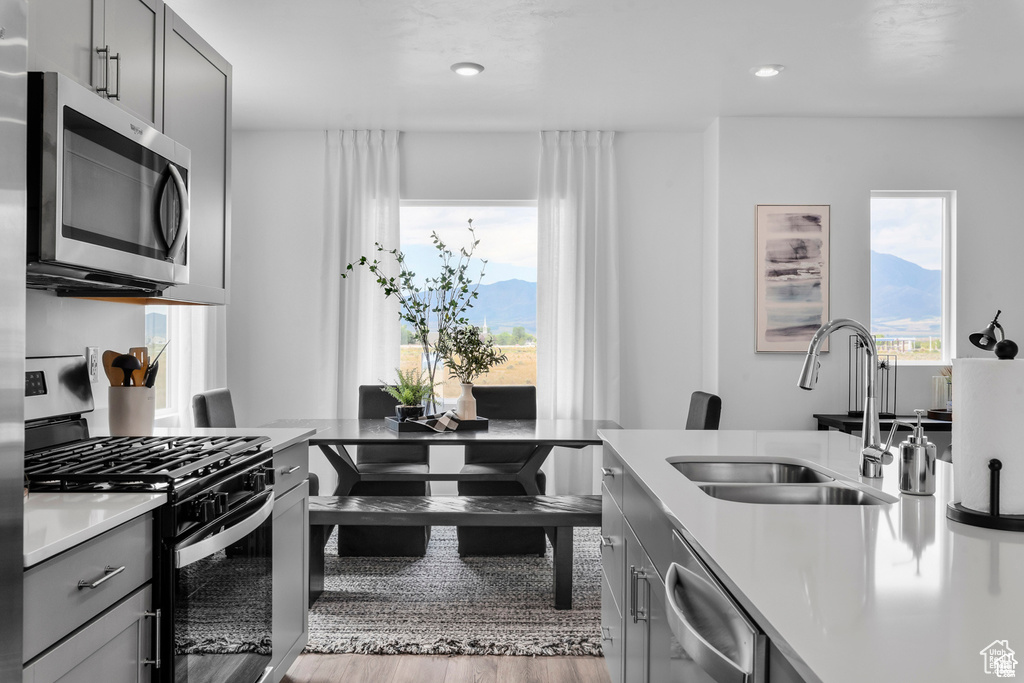 Kitchen with stainless steel appliances, light hardwood / wood-style flooring, gray cabinets, and sink