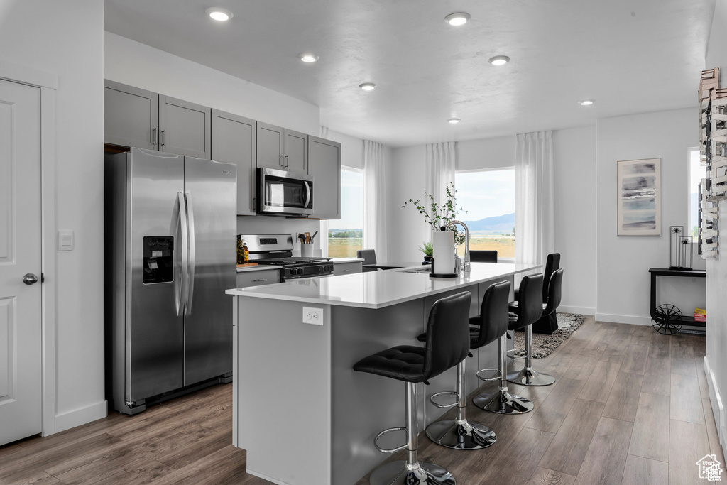 Kitchen featuring an island with sink, light hardwood / wood-style flooring, appliances with stainless steel finishes, gray cabinets, and a kitchen breakfast bar