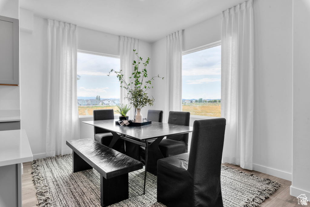 Dining room with light hardwood / wood-style flooring and a wealth of natural light