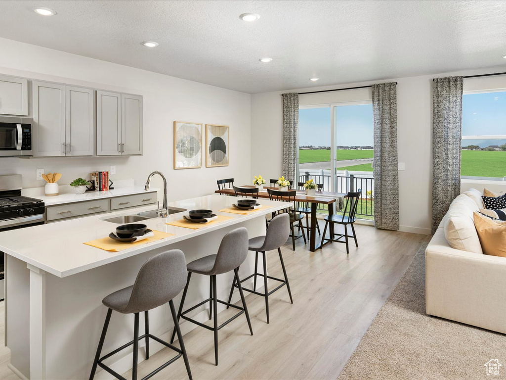 Kitchen featuring light wood-type flooring, stainless steel appliances, plenty of natural light, and sink