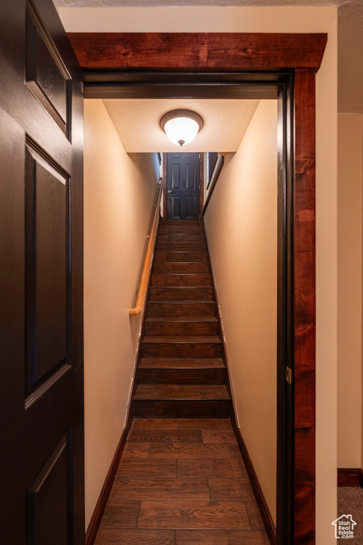 Staircase with hardwood / wood-style flooring