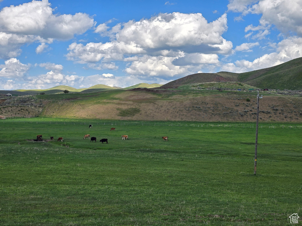 View of mountain background with rural landscape and a pastoral area