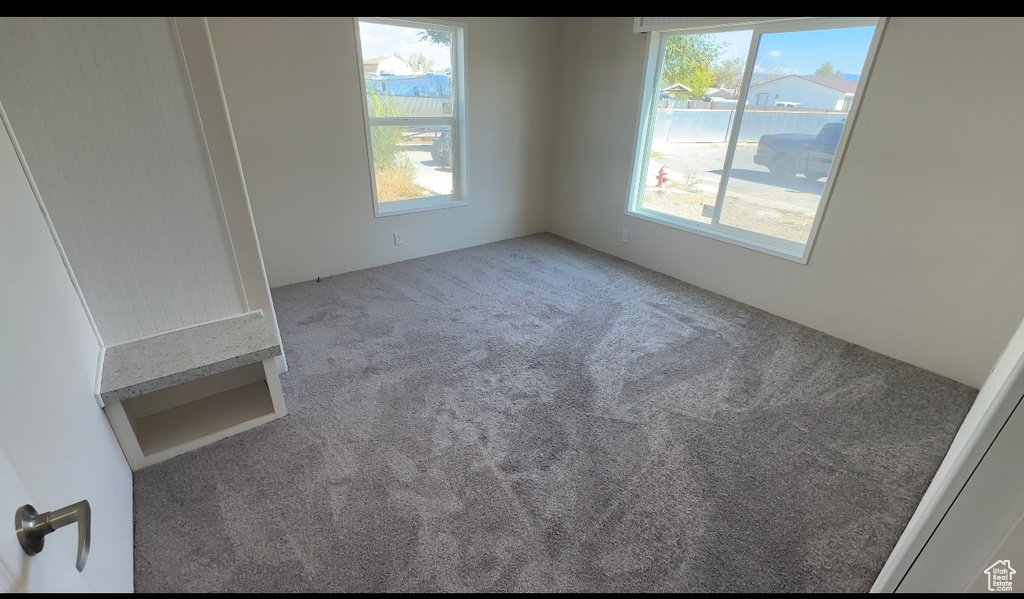 Unfurnished room with carpet and a wealth of natural light