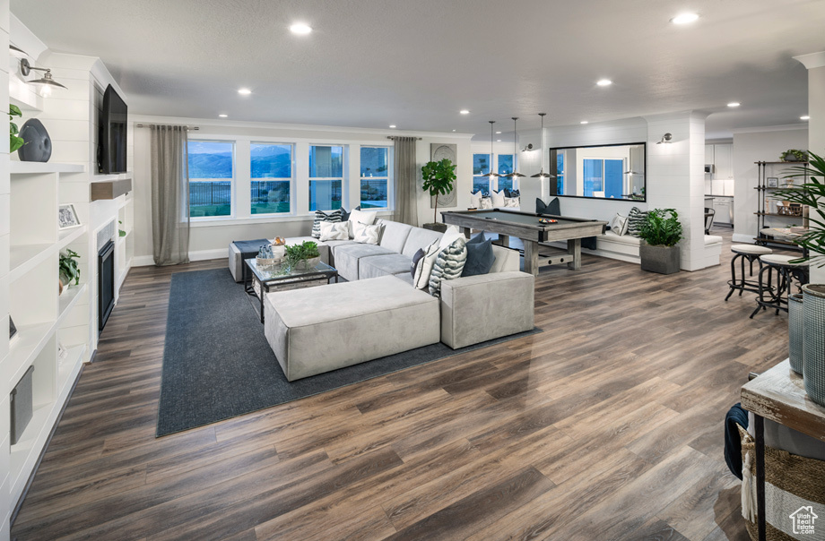 Living room featuring dark hardwood / wood-style floors and pool table