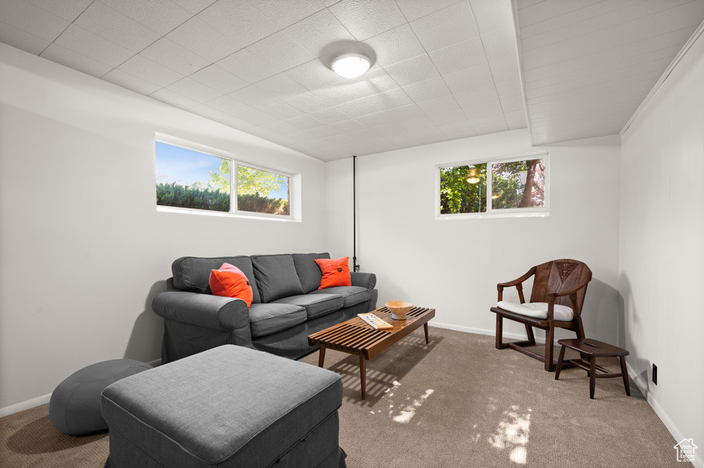 Living room with plenty of natural light and carpet floors