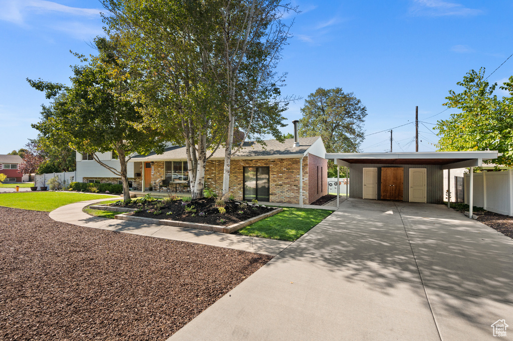 Ranch-style house featuring a carport and a front lawn