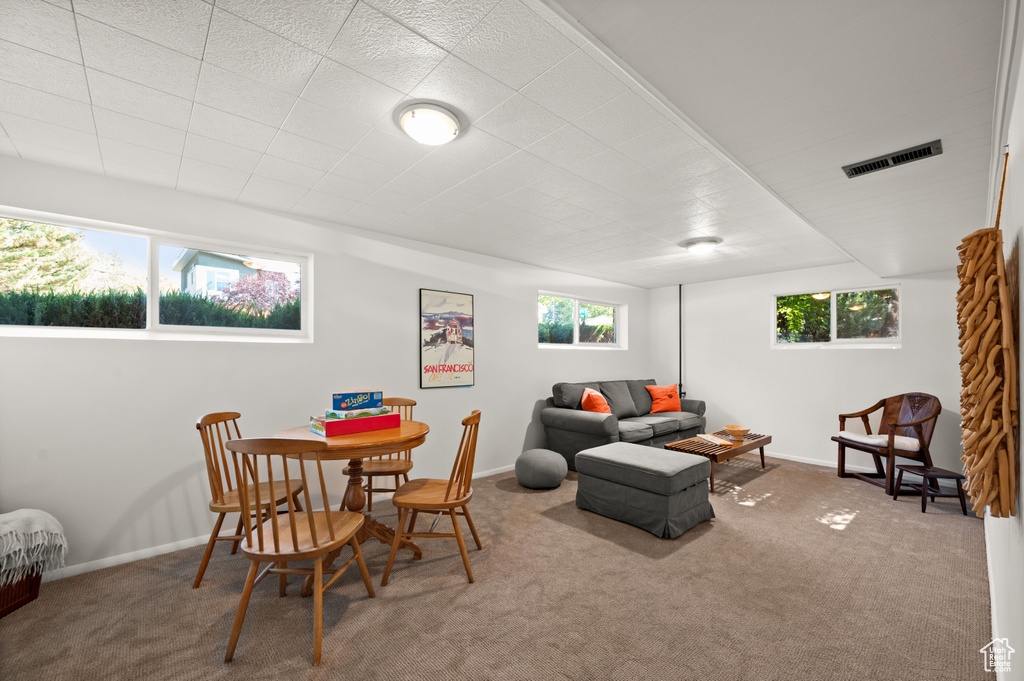 Living room featuring carpet