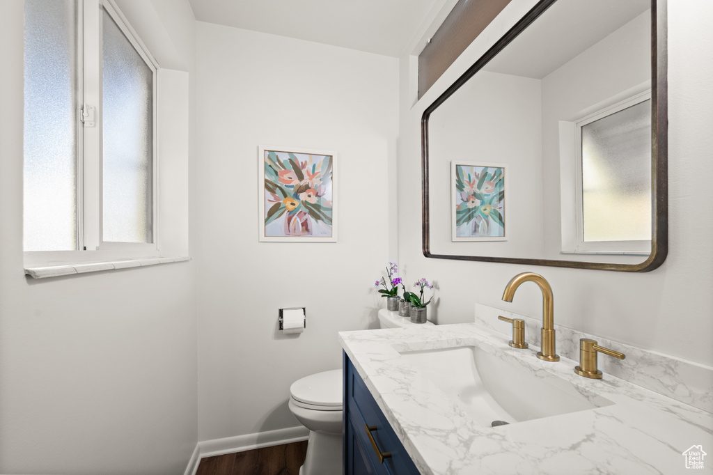 Bathroom with wood-type flooring, vanity, and toilet