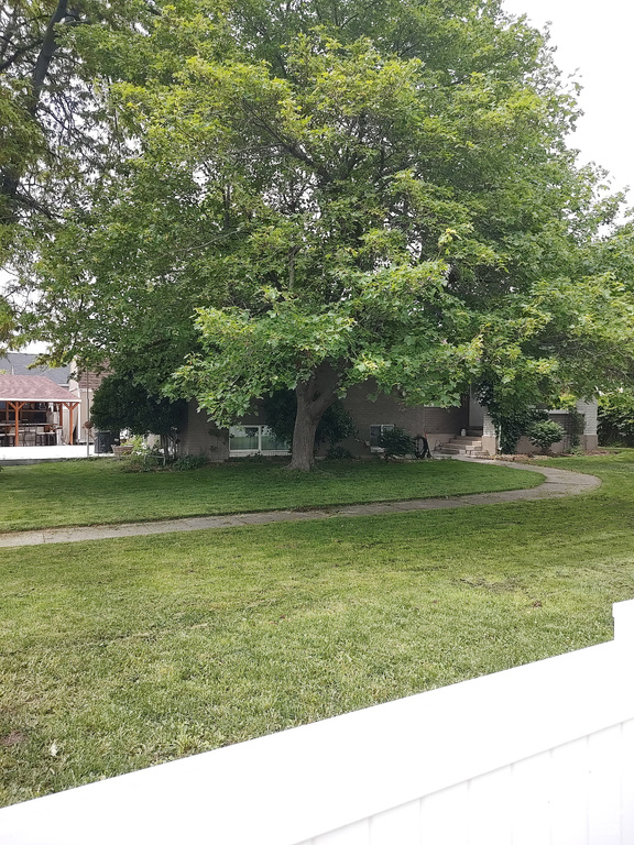 View of grassy yard