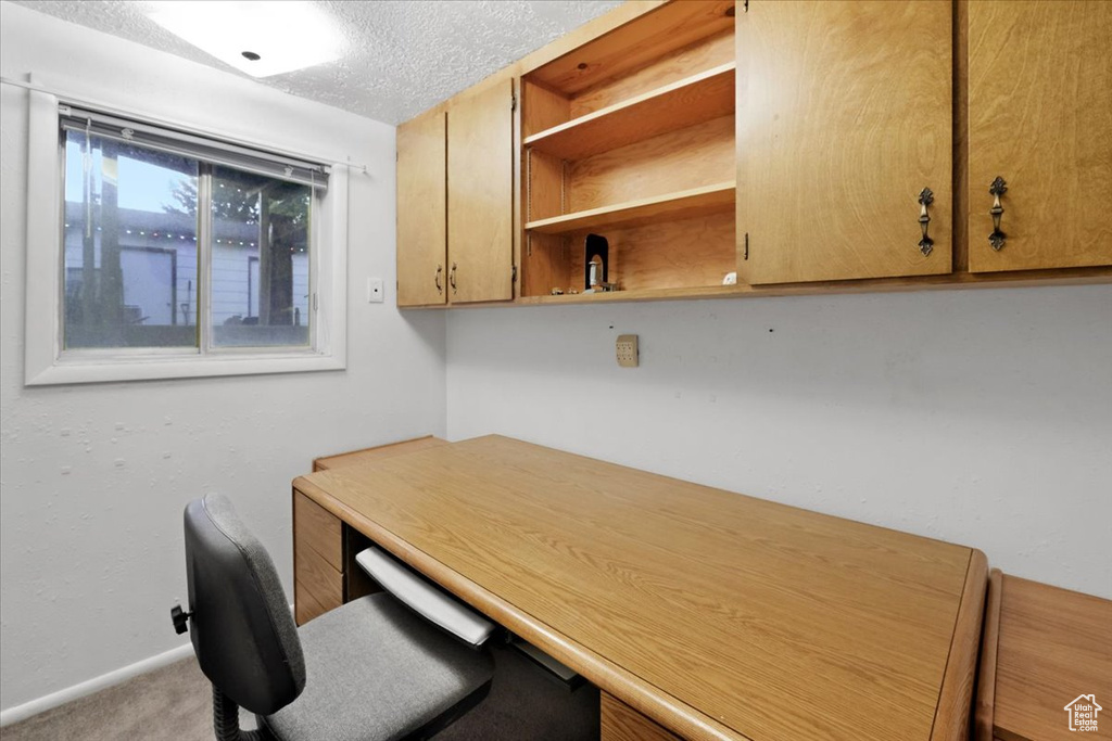 Home office featuring light carpet and a textured ceiling