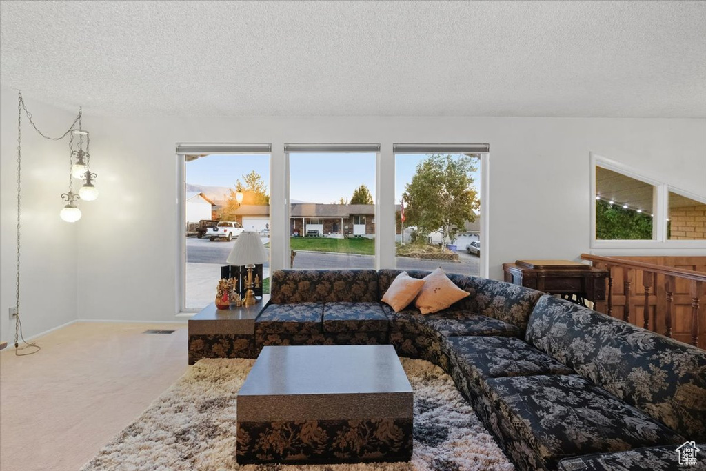 Carpeted living room with a textured ceiling