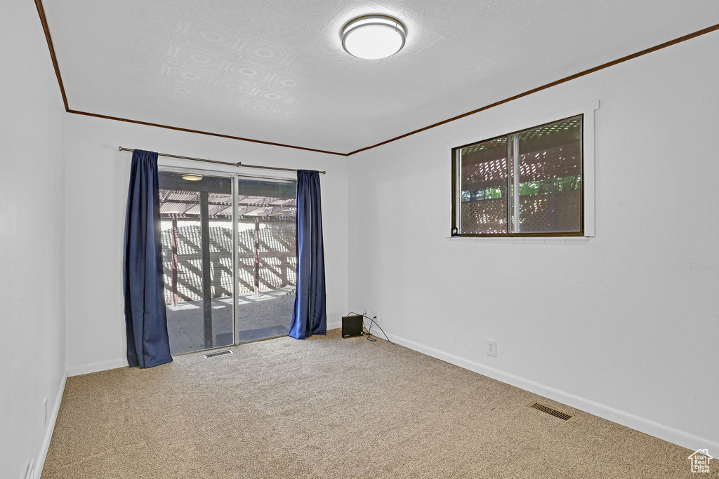 Unfurnished room featuring crown molding and carpet floors