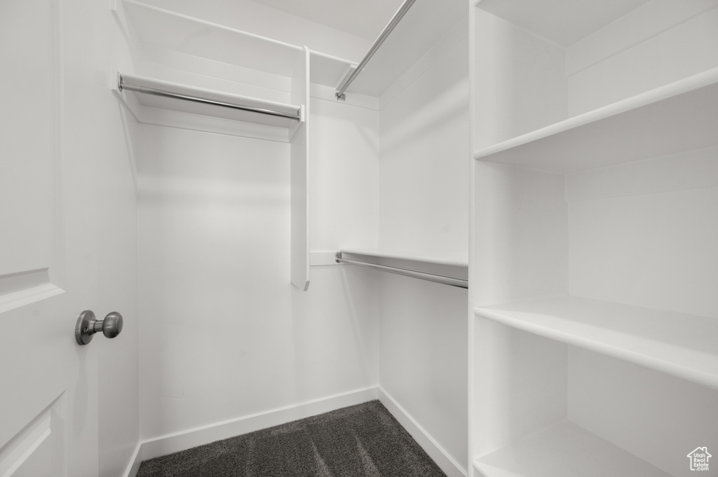 Spacious closet featuring dark colored carpet