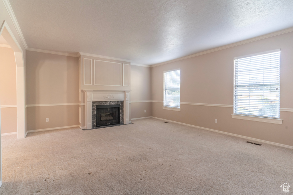 Unfurnished living room with a textured ceiling, a wealth of natural light, and light carpet