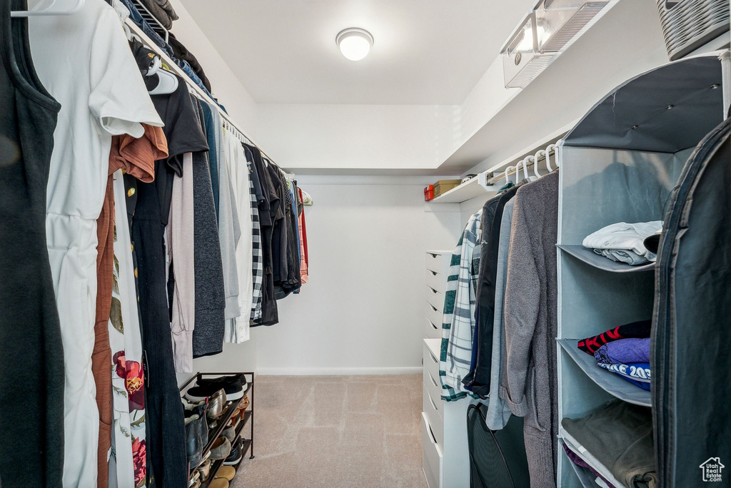 Spacious closet with light carpet