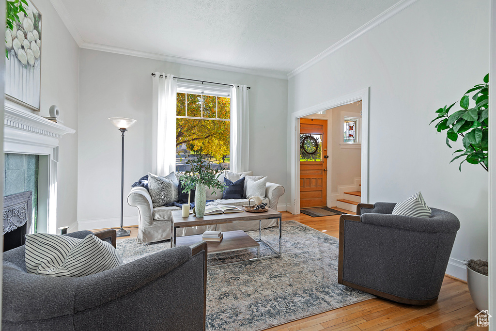 Living room featuring a tiled fireplace, crown molding, and wood-type flooring