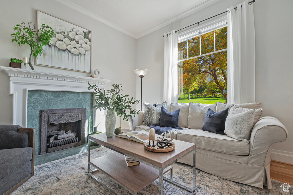 Living room featuring a premium fireplace, ornamental molding, and wood-type flooring