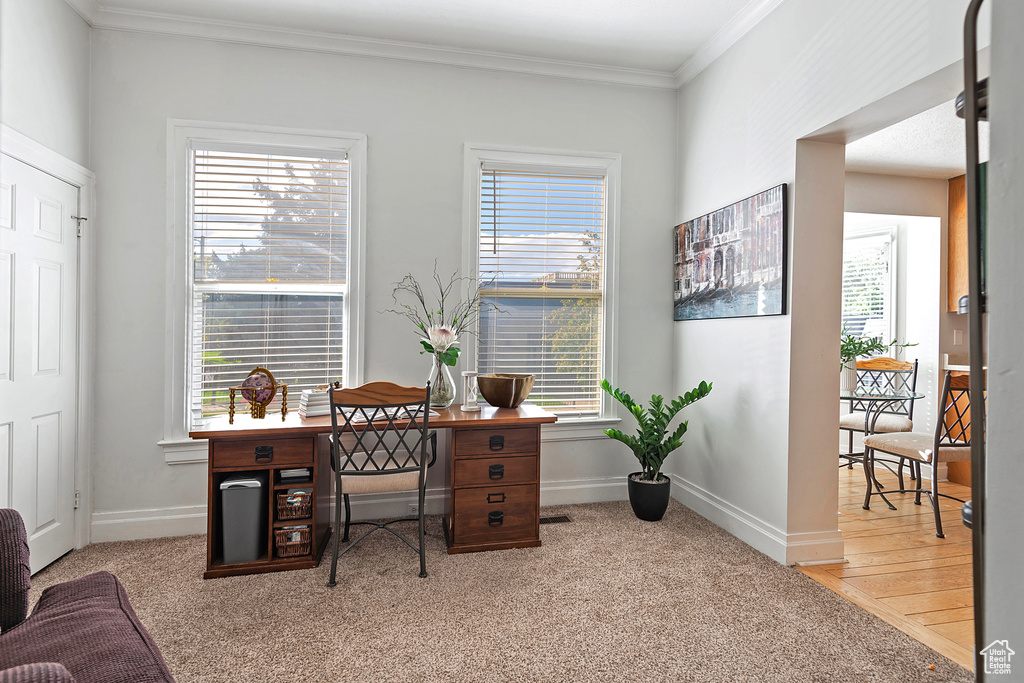 Office area featuring ornamental molding and plenty of natural light