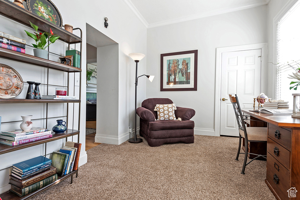 Home office featuring crown molding and light colored carpet