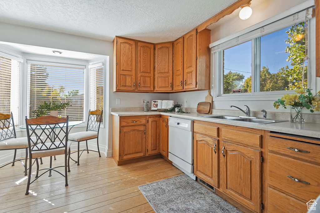 Kitchen with sink, light hardwood / wood-style flooring, a healthy amount of sunlight, and dishwasher