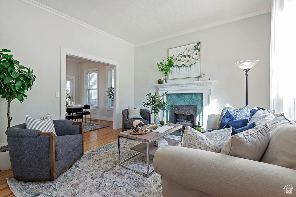 Living room featuring a high end fireplace, ornamental molding, and hardwood / wood-style flooring