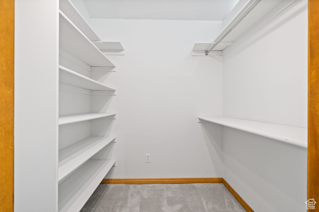 Walk in closet with carpet floors