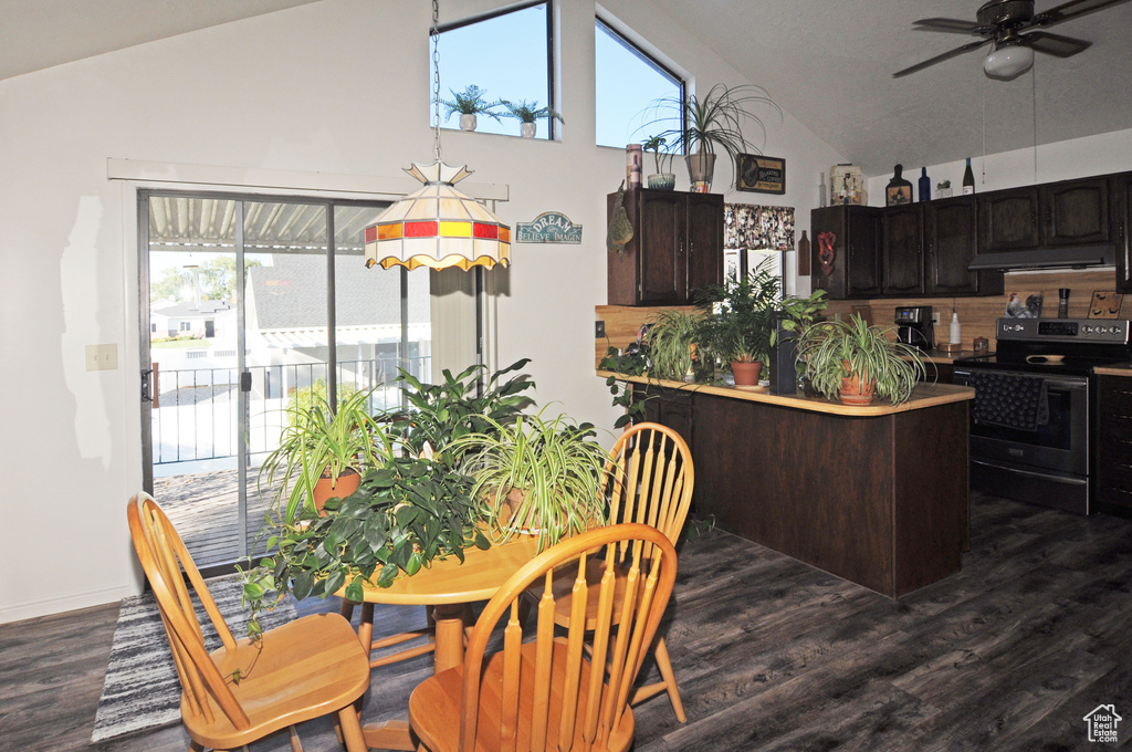 Kitchen featuring dark wood-type flooring, a healthy amount of sunlight, dark brown cabinets, and electric stove