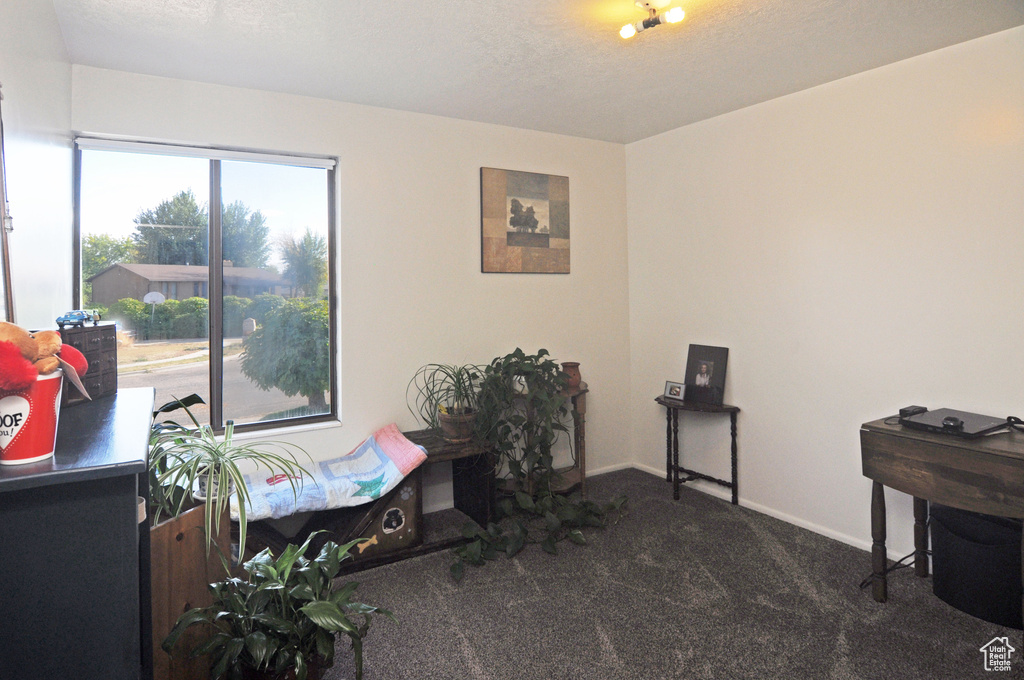 Misc room featuring a textured ceiling and dark colored carpet