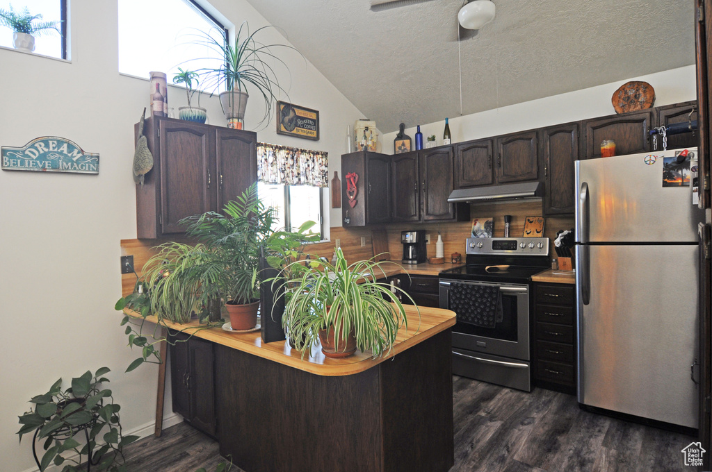 Kitchen featuring dark brown cabinets, appliances with stainless steel finishes, vaulted ceiling, and dark hardwood / wood-style flooring