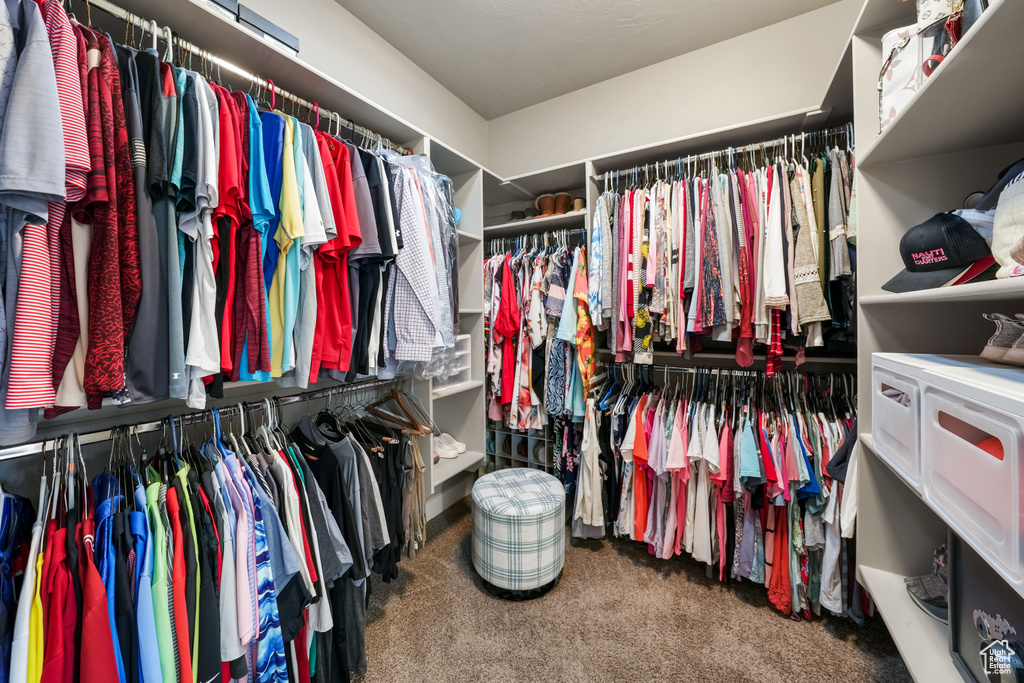 Spacious closet featuring carpet