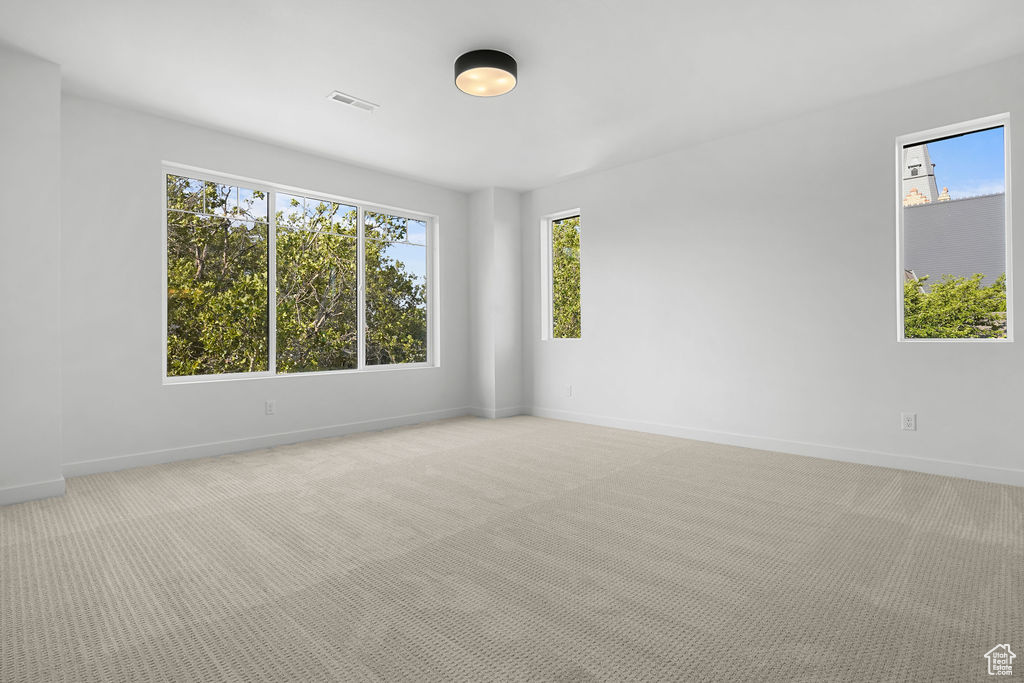 Spare room with plenty of natural light and light carpet