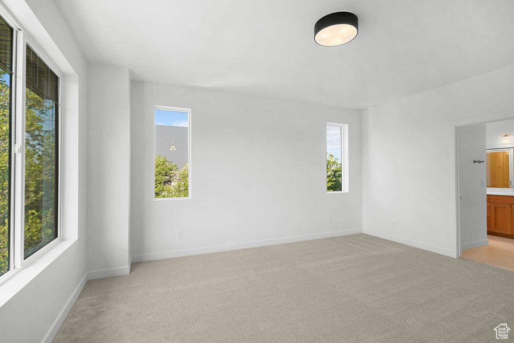 Unfurnished room featuring light colored carpet and a wealth of natural light