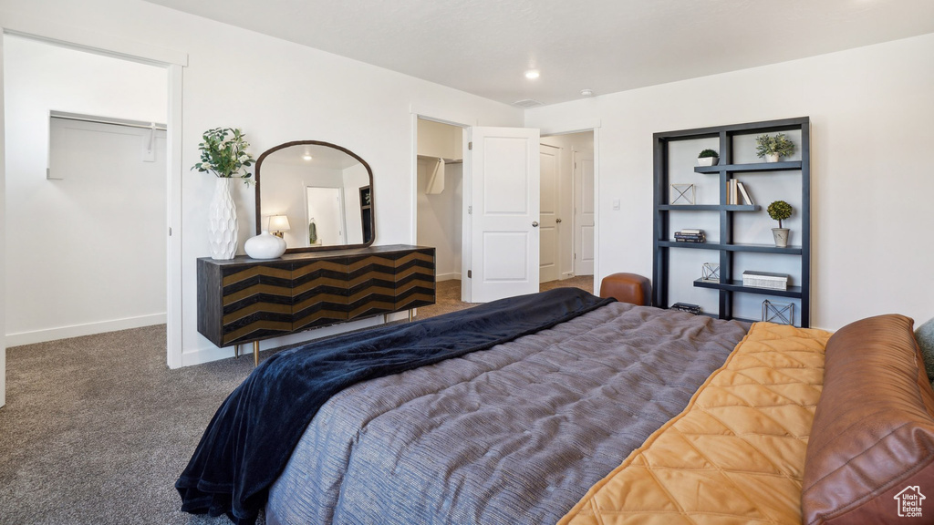 Carpeted bedroom featuring a walk in closet and a closet