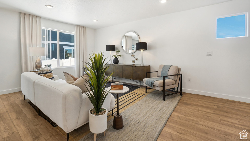 Living room featuring light hardwood / wood-style flooring