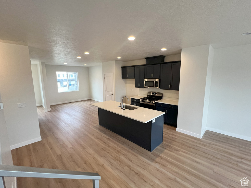 Kitchen featuring appliances with stainless steel finishes, light hardwood / wood-style flooring, a kitchen island with sink, and sink