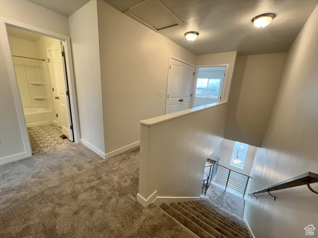 Staircase featuring carpet flooring and a textured ceiling