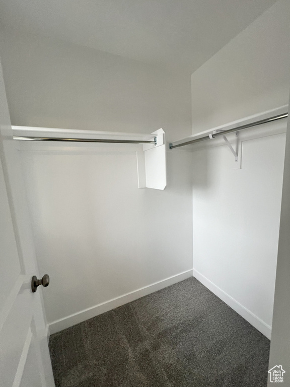 Walk in closet with dark carpet