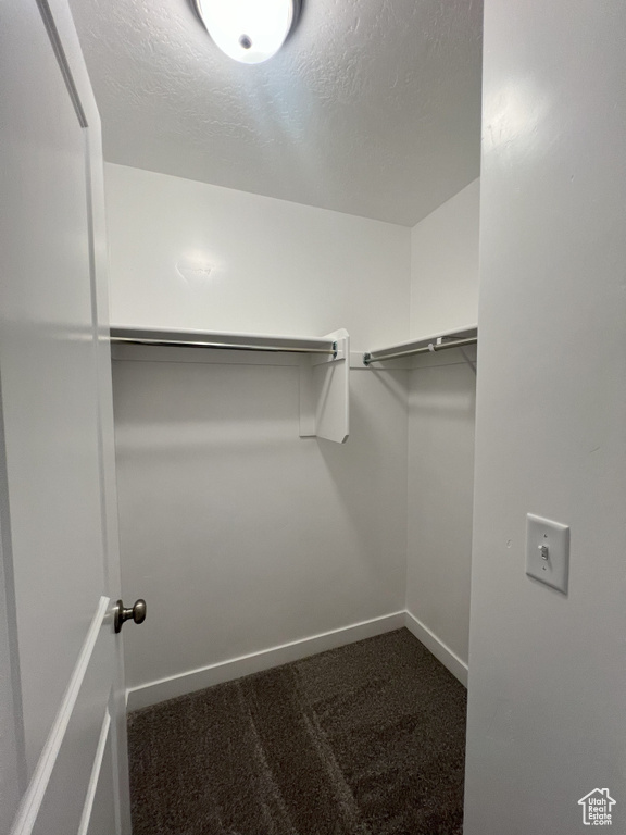 Spacious closet with carpet