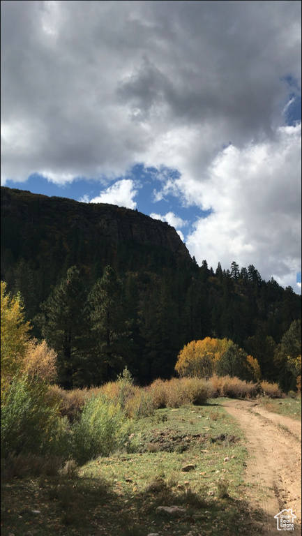 Property view of mountains