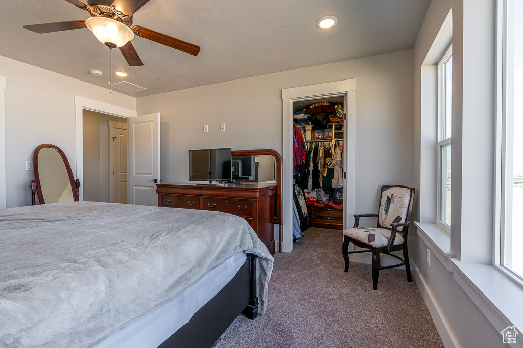 Bedroom with a spacious closet, ceiling fan, a closet, and light carpet