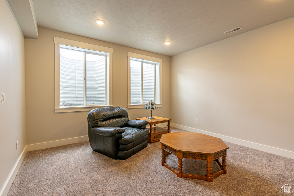 Living area with a textured ceiling and carpet floors