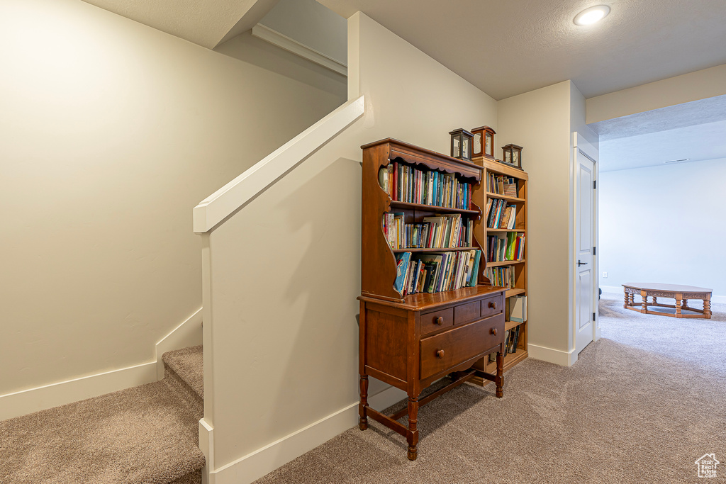 Stairs with carpet