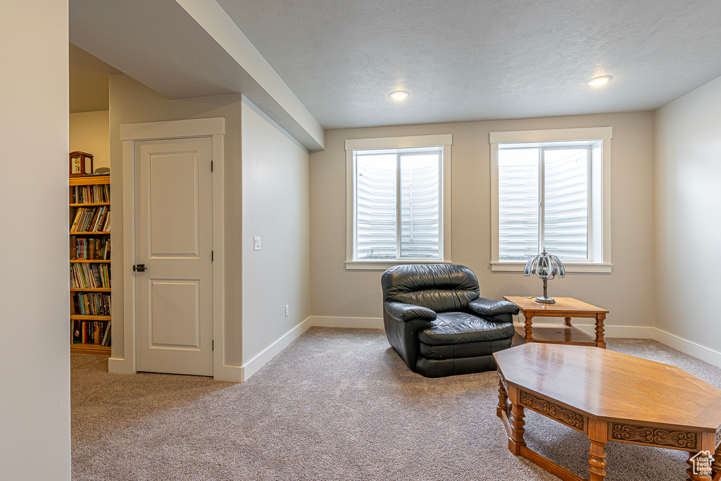 Living area featuring light carpet and a textured ceiling