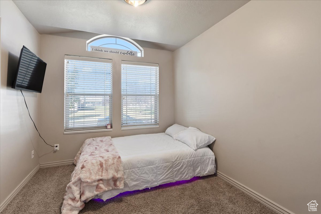 Bedroom with carpet flooring