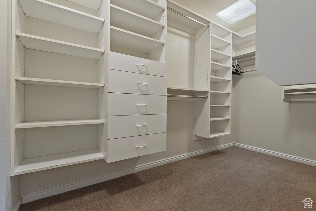 Spacious closet featuring carpet