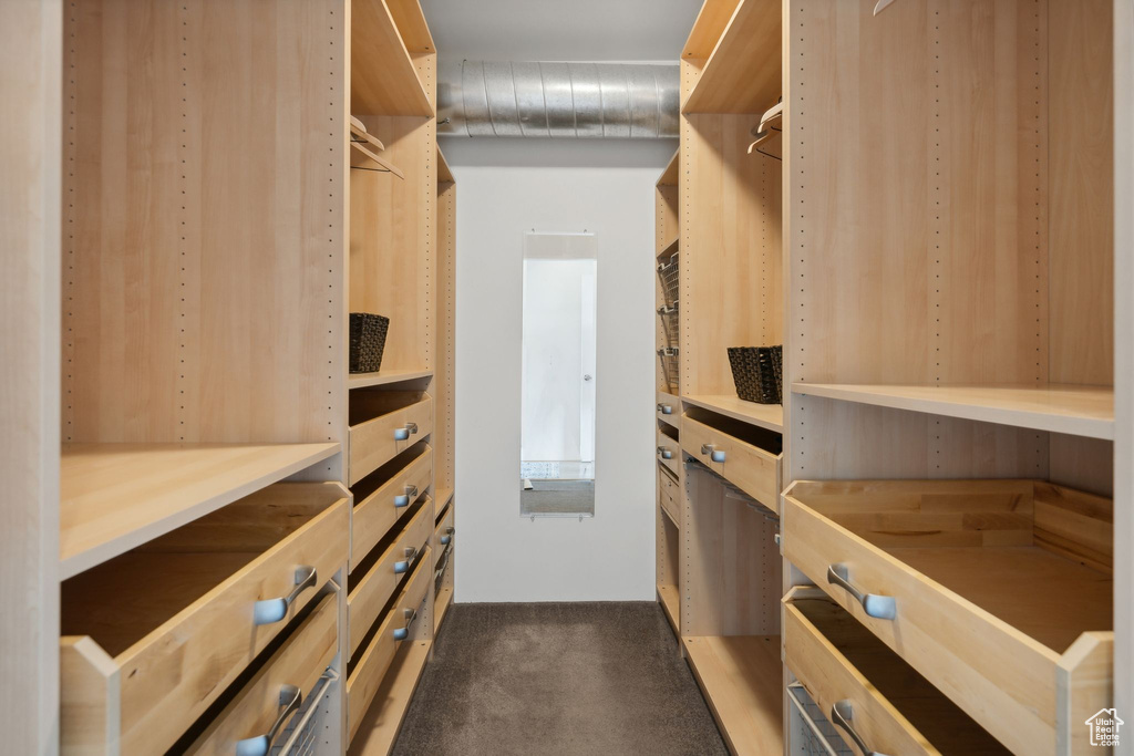 Walk in closet with dark colored carpet