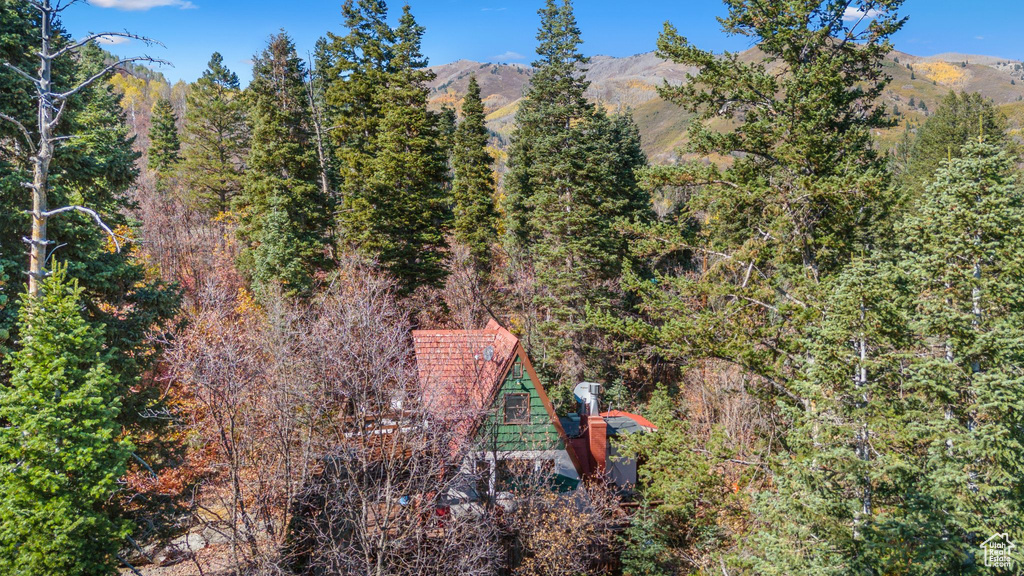 Aerial view featuring a mountain view