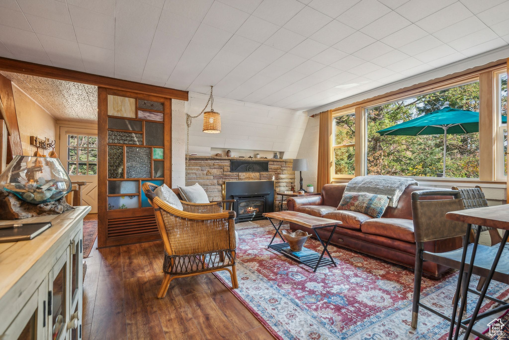 Living room featuring a wood stove, a wealth of natural light, and dark hardwood / wood-style flooring